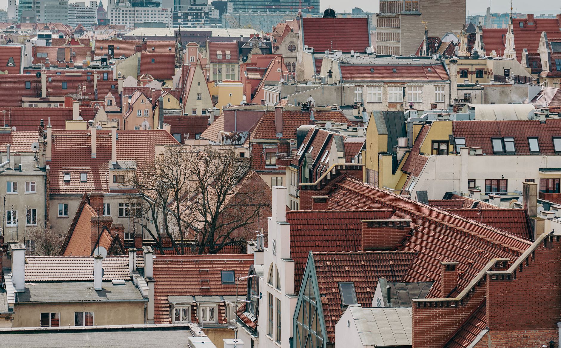 Red tiled rooftops in Wrocław, Poland showcasing urban architecture.