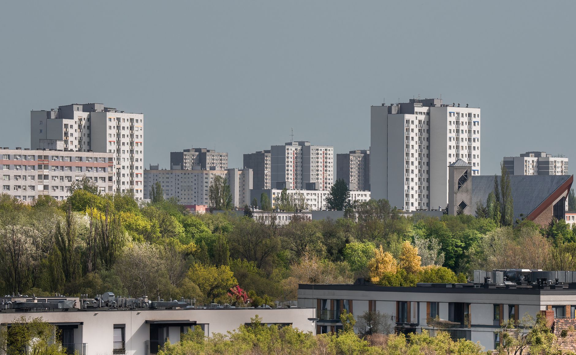 Urban skyline view of residential buildings in Poznań, surrounded by lush greenery.