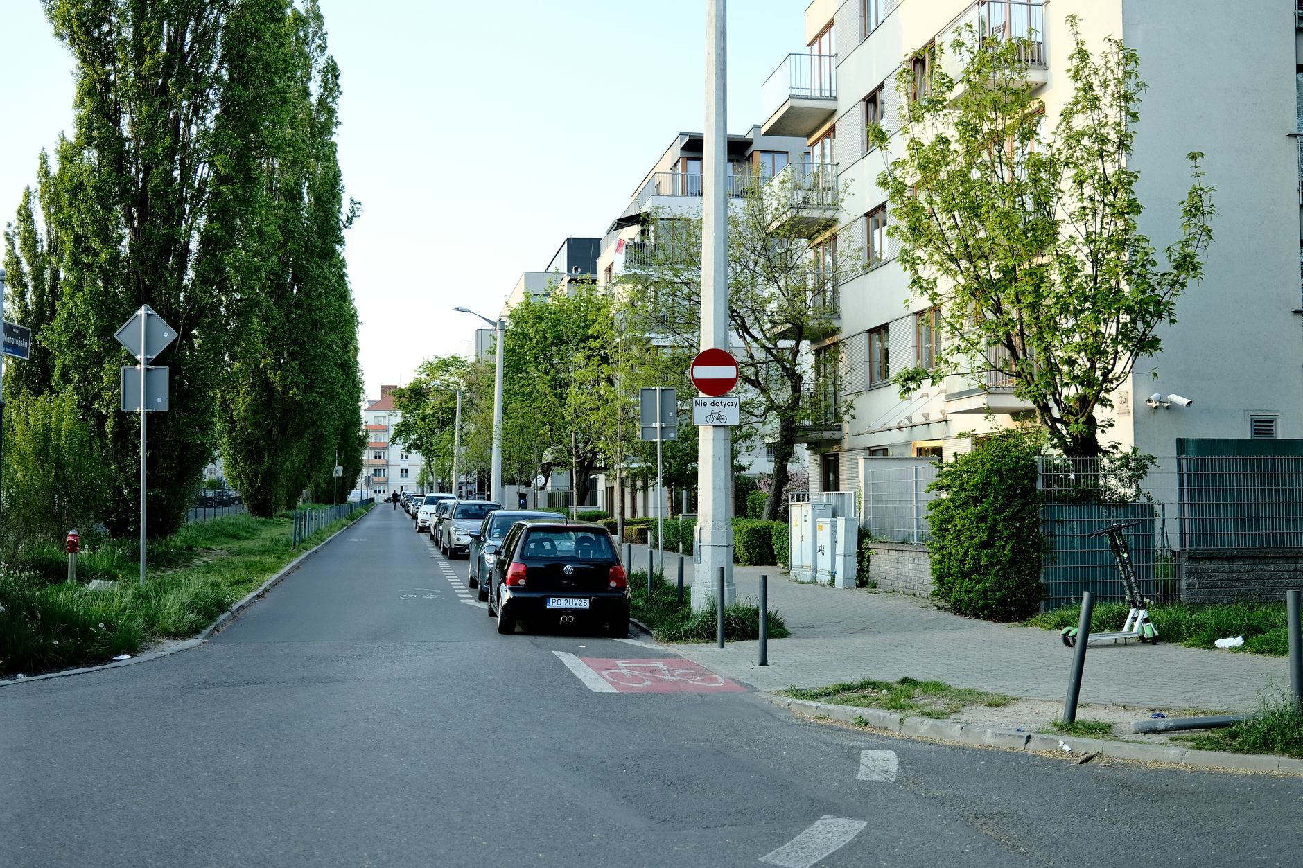 Peaceful urban street with parked cars and lush green trees lining apartment buildings.