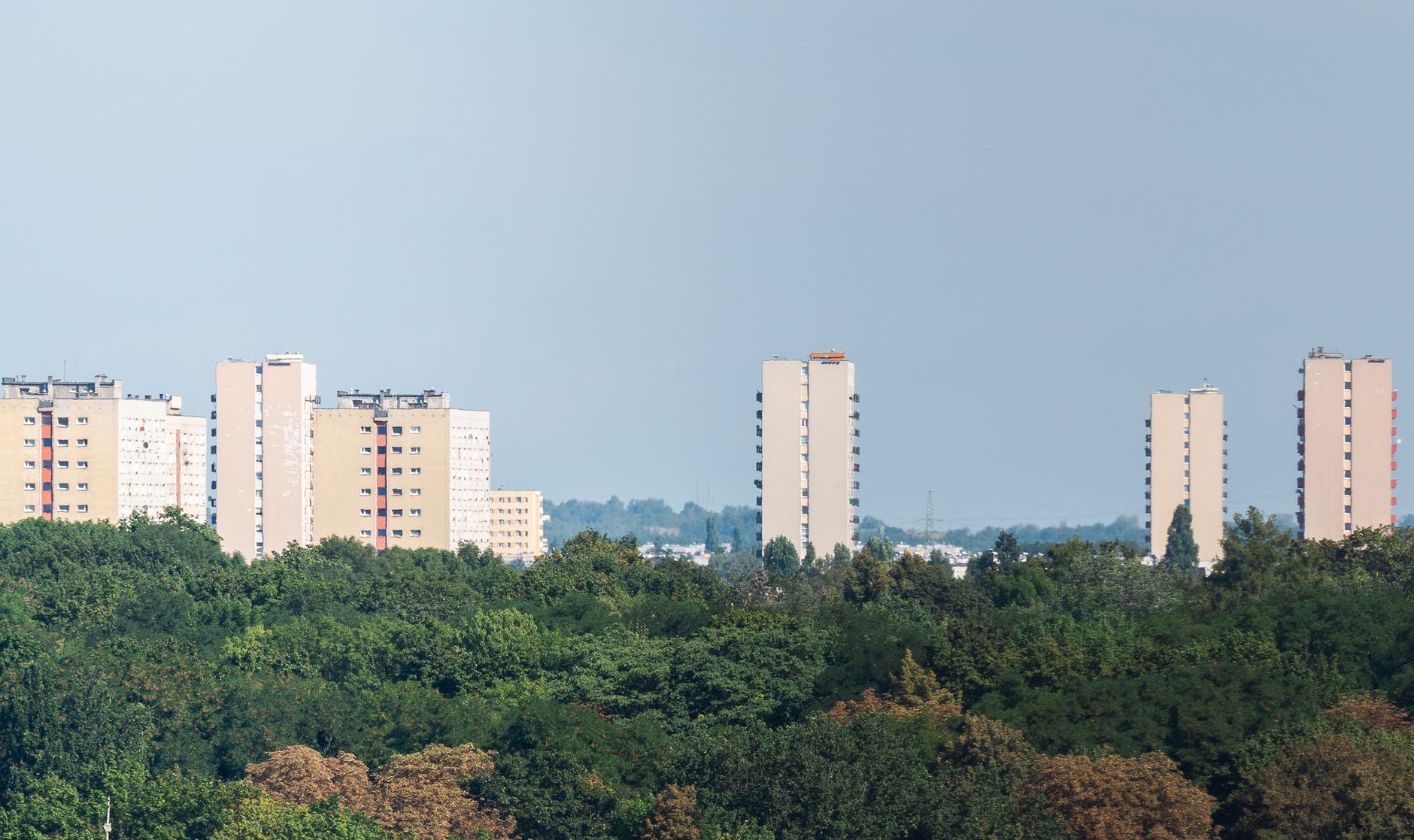Tall residential blocks rise above lush greenery in Poznań, Poland, showcasing urban landscape.